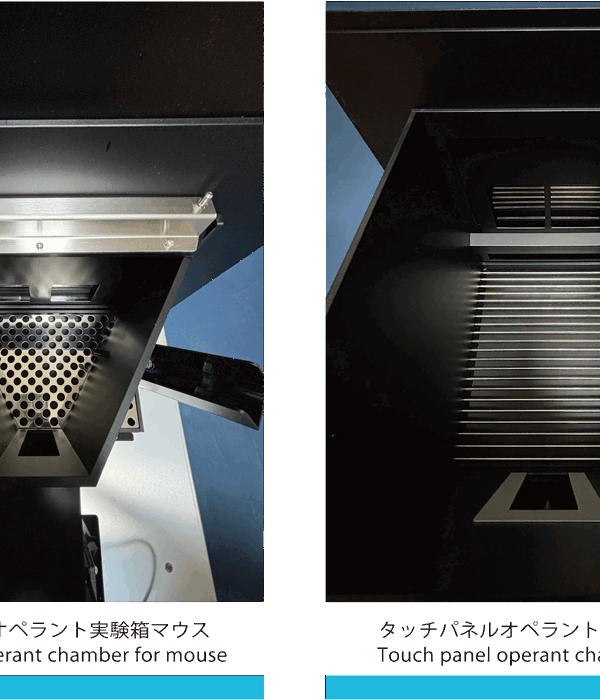 Touch-panel operant testタッチパネルオペラント実験システム＜学習記憶＞
