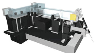 Dr. Benucci type Self head-restraint platform for mouse behavioral training<br>自己拘束オペラント実験システム＜学習記憶＞