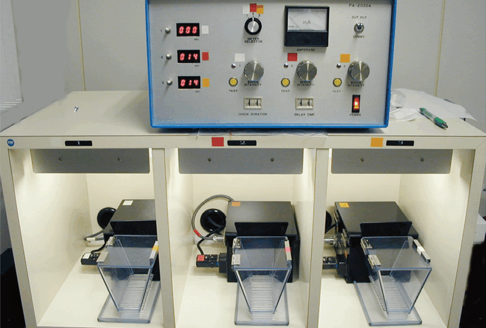 Passive avoidance test (Step-through type)                <avoidance conditioning for contextual><br>受動的回避反応実験装置＜文脈に対する回避条件付け＞