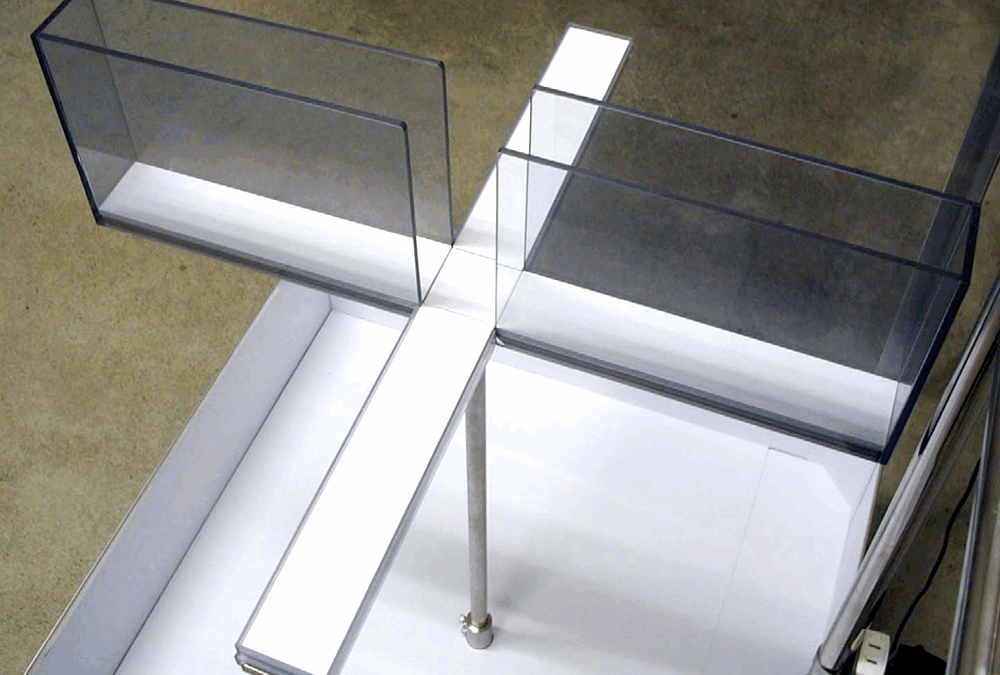 Elevated plus maze＜emotionality＞<br>高架式十字迷路＜情動性＞