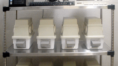 24 hour home cage activity & social behavior monitoring＜locomotion activity / amount of activity / biological rhythm / social behavior＞<br>ホームケージ内活動量・社会的行動測定システム＜運動活性・活動量・リズム・社会性＞