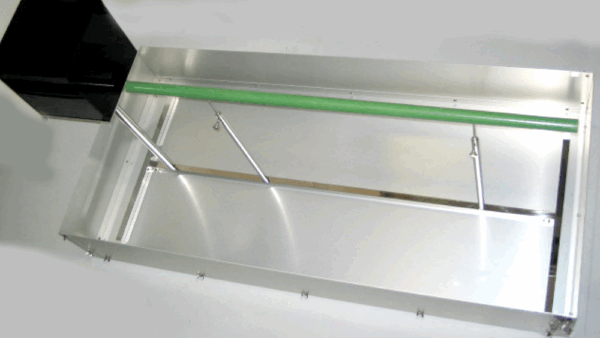 Balanced beam test ＜equilibrium sense / muscular strength＞バランスド・ビーム実験 ＜平衡感覚・筋力＞